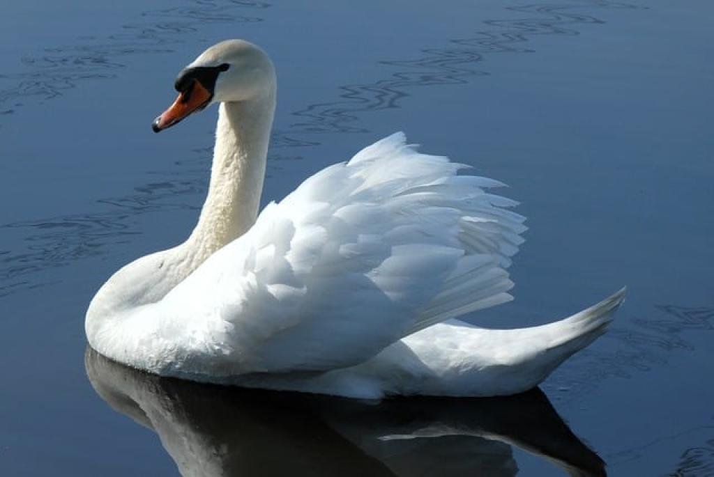 17571184224306noF18qbsVH inpost image