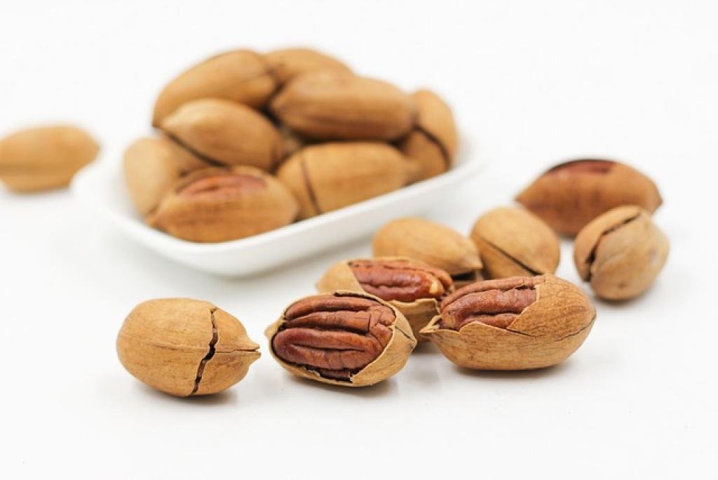 10 Delicious High-Protein Snacks for Older Adults 14