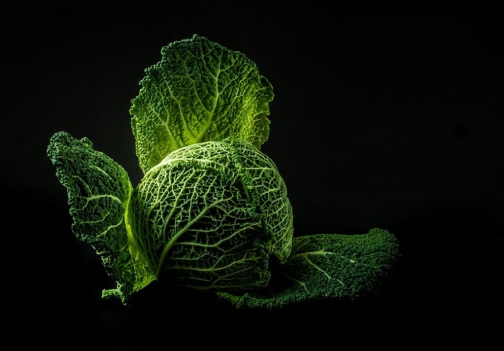 Top Foods to Eat for a Faster Metabolism After 40 11 17589303624523BJYsKr9pUg
