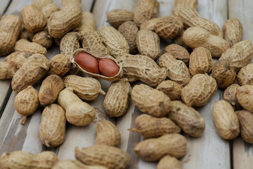 Top 10 Best Protein Bars for a Quick Snack 3 17590211454536KVNVjo3KOK inpost image