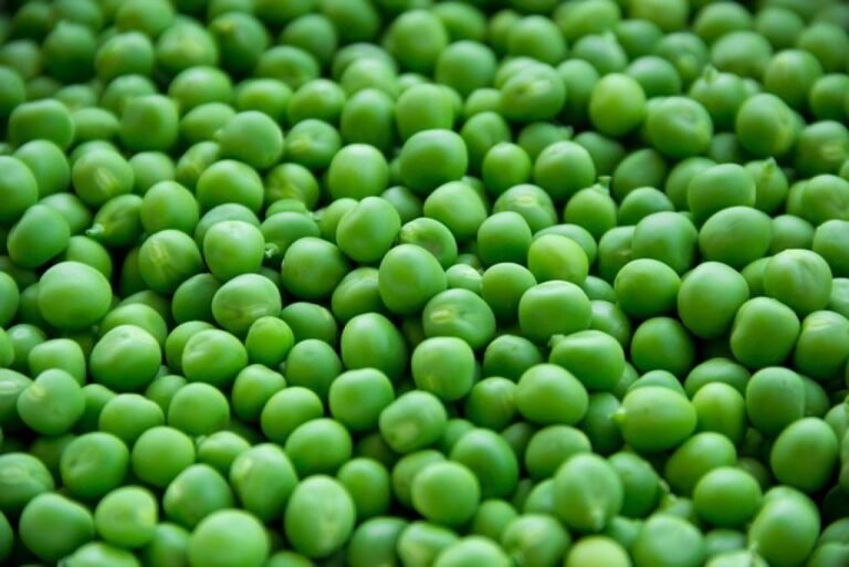 Home 17 Foods That Fight Inflammation: A Guide to a Healthier Diet